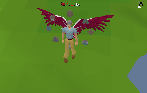 Pokémon Wings