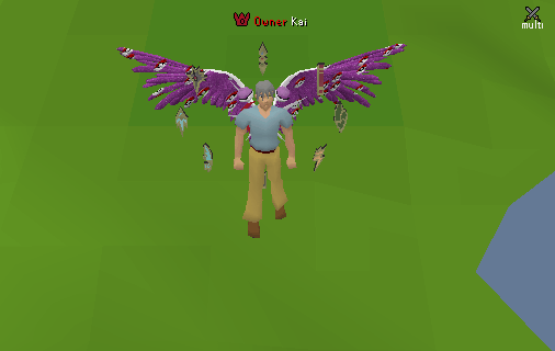 Cosmetic Pokémon Wings